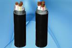 Cáp Điện Hạ Thế CXE-DATA - 0.6-1kV * Cadivi